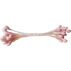 Тичинки за цветя - бледо розови