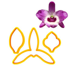 Резци на форми - Резци - Dendrobium Montrose Orchid