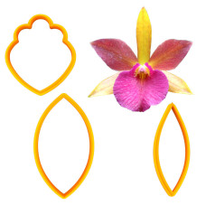 Резци - Brassavola Orchid
