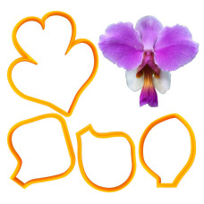 Резци на форми - Резци - Papilionanthe Orchid