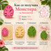 Резец с щампа - Монстера листо