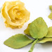 Резци на форми - Комплект резци Decora - листа на роза